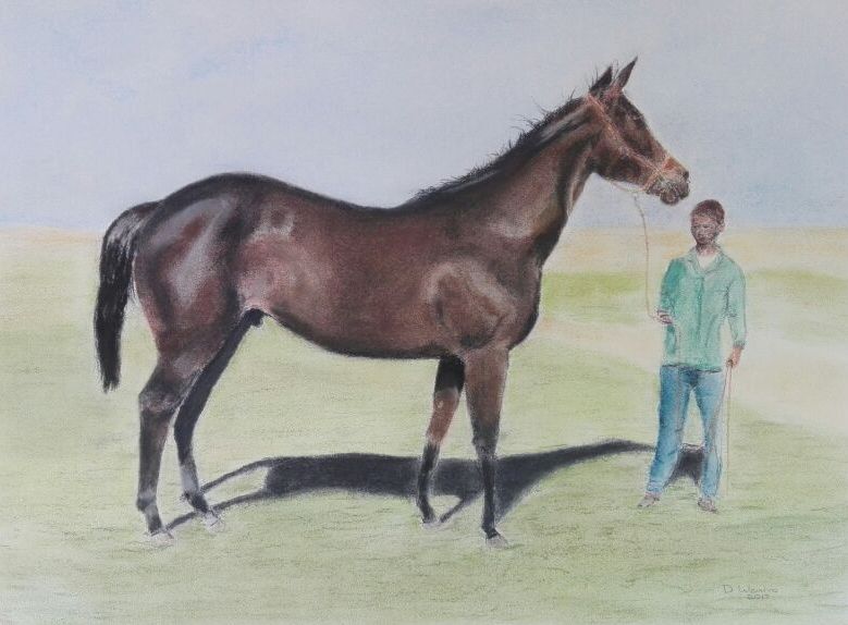 Harry Hall in soft pastels on Canson paper. Unframed 50 cm x 65 cm